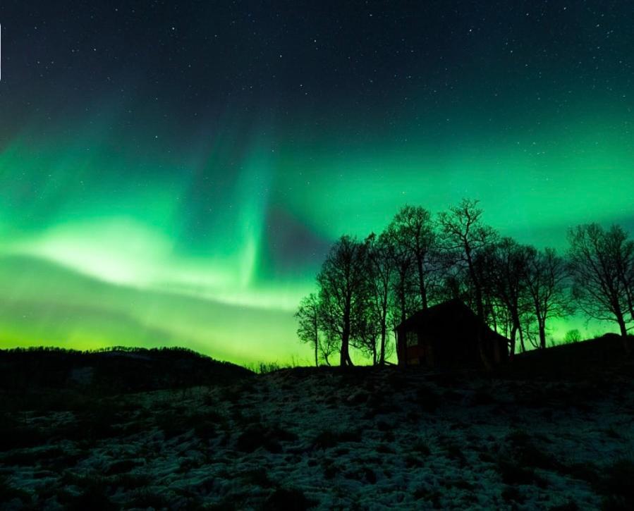 Harstad, All Seasons Eksteriør bilde